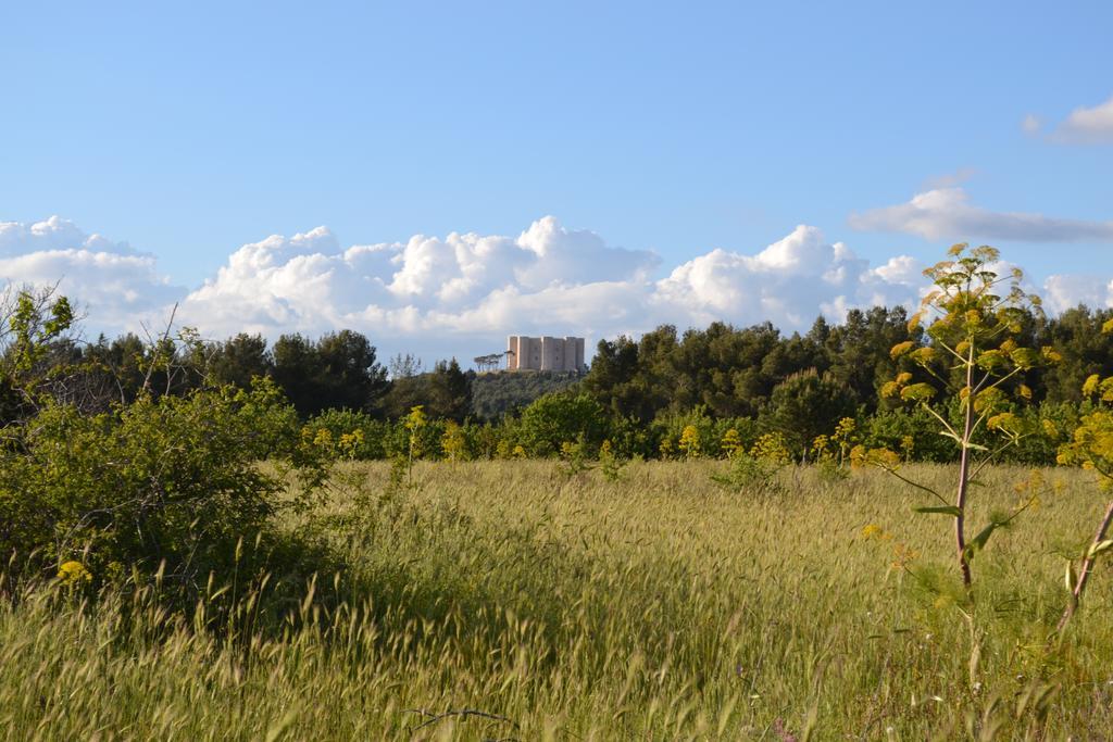 B&B Le Stagioni Castel Del Monte  Exterior foto
